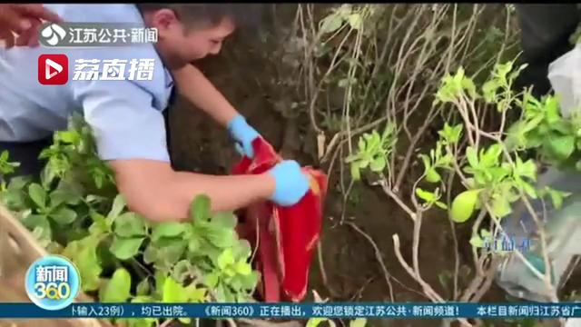 南通黄金开户_南通如皋金店盗窃案_黄金首饰被盗案侦破