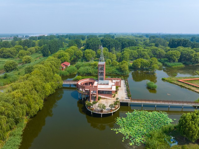 中年止损_如何按时间止损设置时间点_放下过去