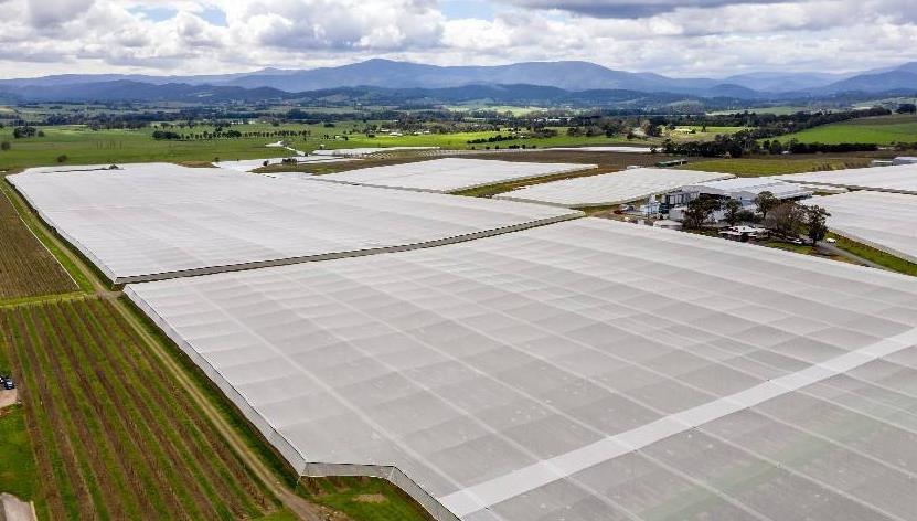 常州地方经济_钟楼区金融活水助中小企业发展_钟楼区专精特新企业梯度培育