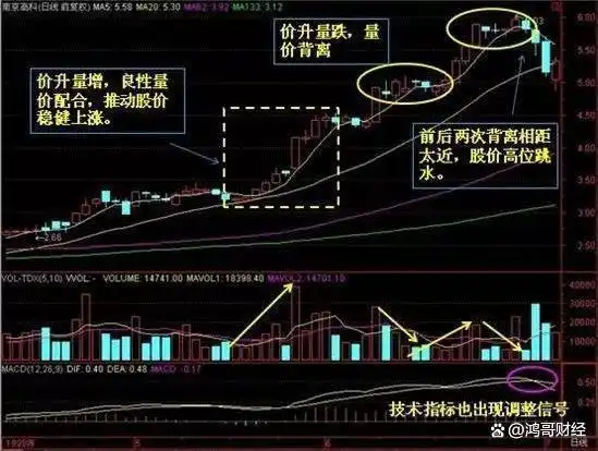 证券分析这本书有用吗_股票市场情绪控制_股市长期生存技巧