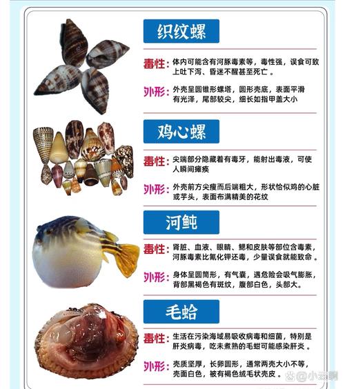 织纹螺期货_织纹螺中毒神经系统症状_织纹螺中毒症状