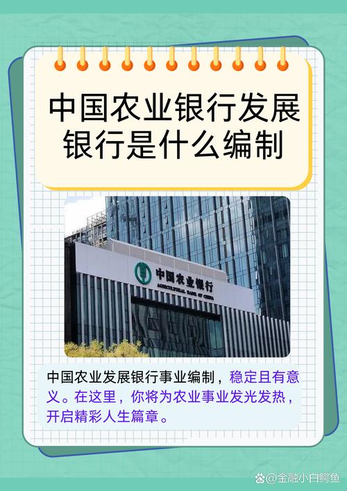 玉林三无贷款_广西玉林市产业集聚_博白芒编产业发展