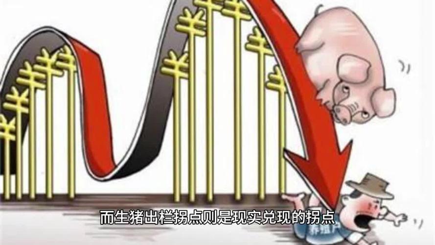生猪期货对产业影响_生猪期货交易规则_舟山大宗商品交易所首推生猪期货产品 今日早报