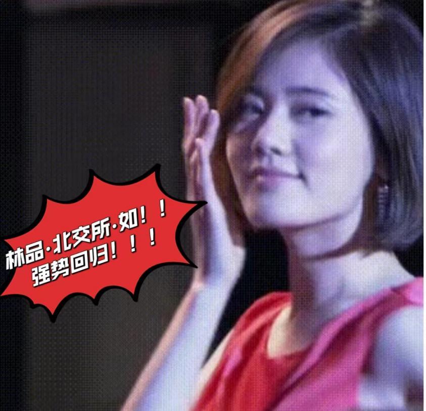 北交所股票涨幅榜前十位_北交所股票连续上涨_三板股票价格查询