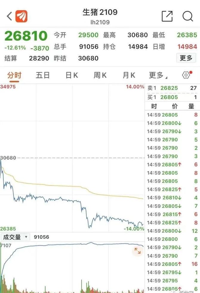 猪事邦, 生猪期货上市首日竟跌停!猪肉期货能对猪价有啥影响?