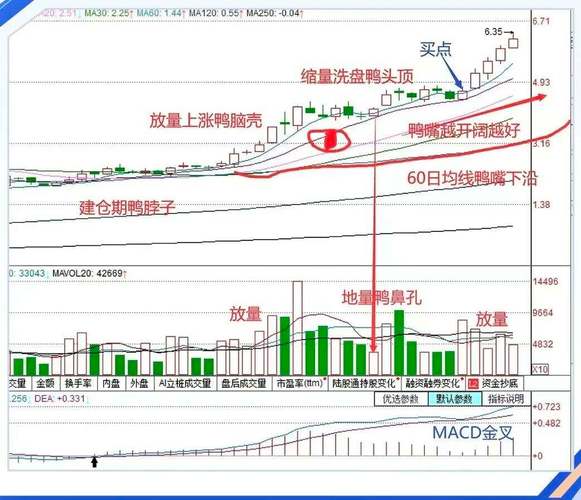 老鸭头形态识别_老鸭头一般涨幅是多少_老鸭头均线特征