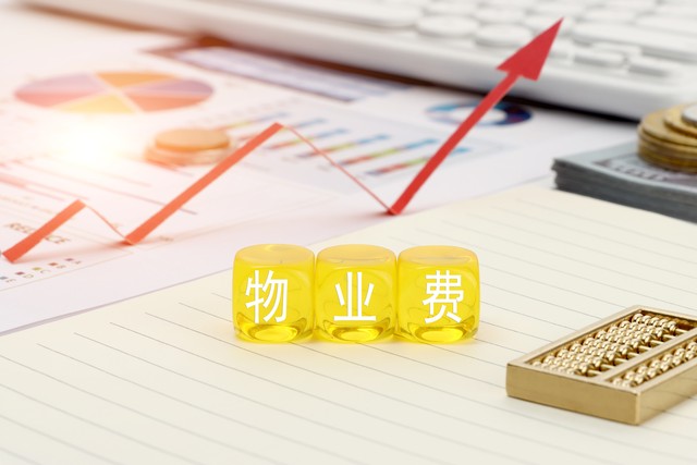 破解企业进项票难题_企业缺进项票增值税高解决方案_小规模纳税人开什么票