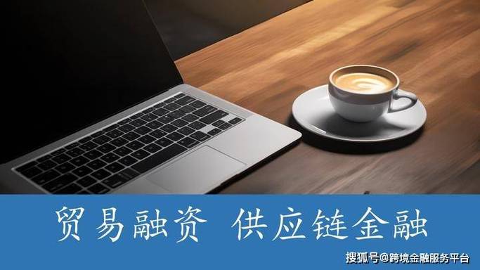 国内信用证福费廷一级市场二级市场_国内信用证福费廷市场发展_国内信用证是指