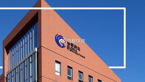 绿大地股价下跌原因_绿大地财务造假问题_绿大地案例分析