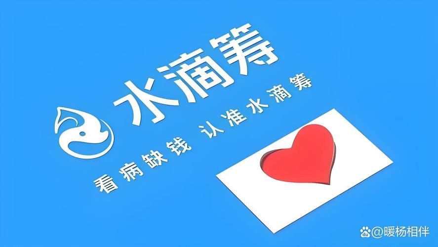 2024年国内大病众筹服务平台综合能力盘点_轻松筹筹不够目标金额_大病众筹服务选择避坑提示