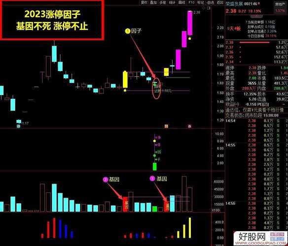 王子量学涨停基因主图指标公式通达信_涨停基因主图指标公式通达信_王牌柱主图公式