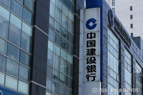 基层金融案件_银行员工冒用名义贷款_五户联保贷款被起诉