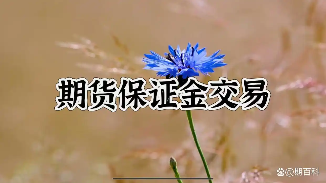 期货双向交易_新手炒期货从入门到精通_保证金交易制度