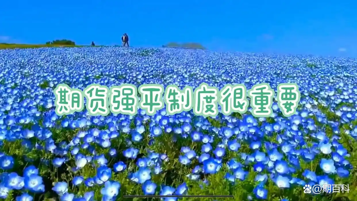 新手炒期货从入门到精通_保证金交易制度_期货双向交易