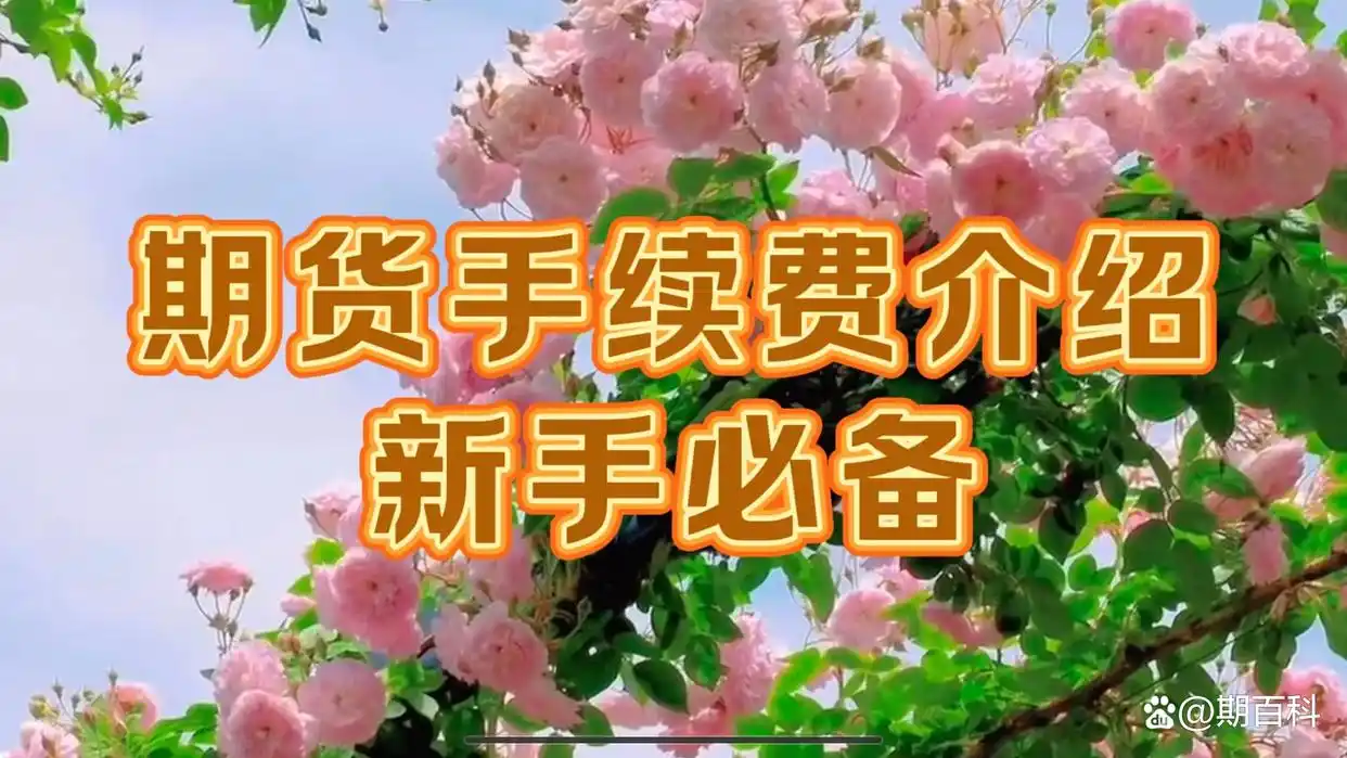 期货双向交易_新手炒期货从入门到精通_保证金交易制度
