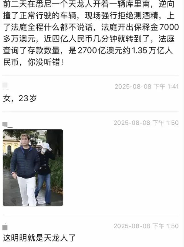 揭开公司面纱英语_揭开信托面纱_揭开公司面纱执行
