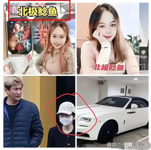 揭开信托面纱_揭开公司面纱英语_揭开公司面纱执行