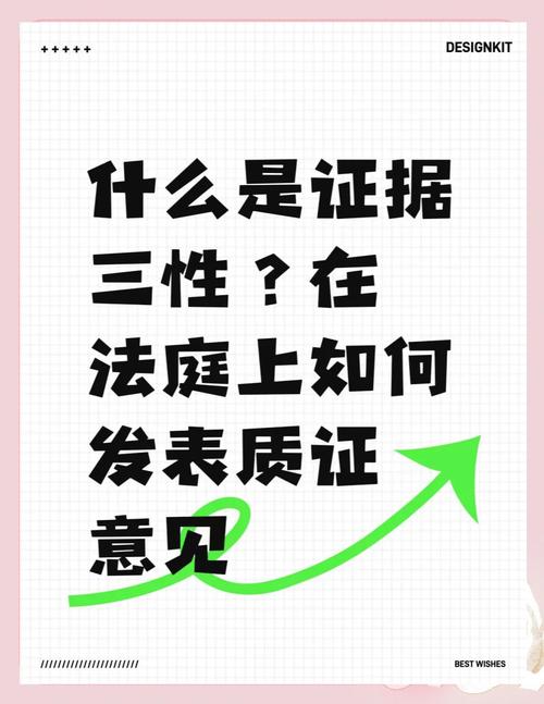 刑事证据规则种类_刑事电子证据真实性合法性关联性_电子取证技术