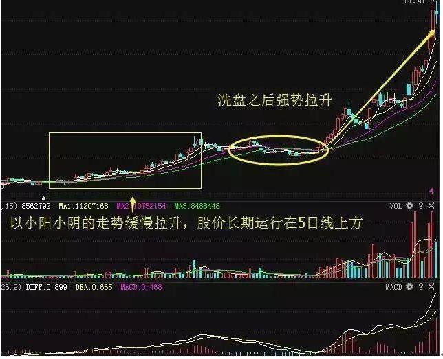 预期管理_cci指标选股公式_选股