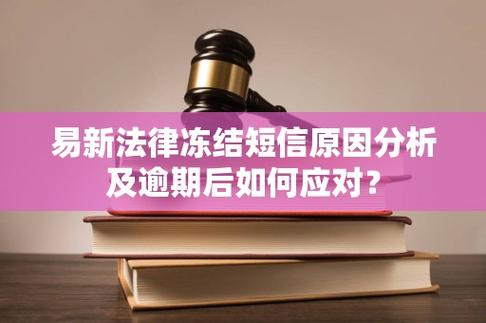 诉前保全冻结_虚假信息贷款法律责任_司法催收
