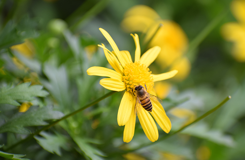波长颜色_人类视觉细胞与颜色认知_光的本质与颜色感知
